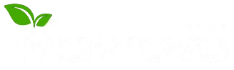 Mavrovo News